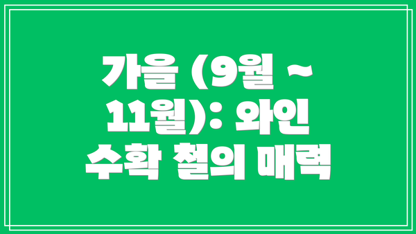 가을 (9월 ~ 11월): 와인 수확 철의 매력