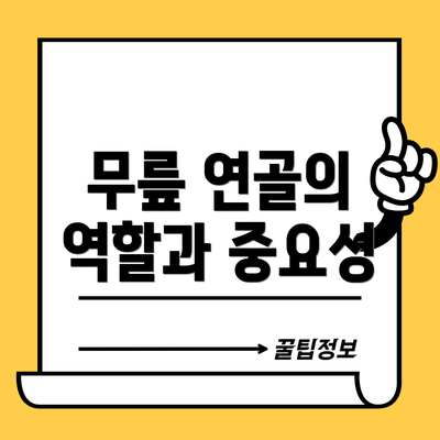 무릎 연골의 역할과 중요성