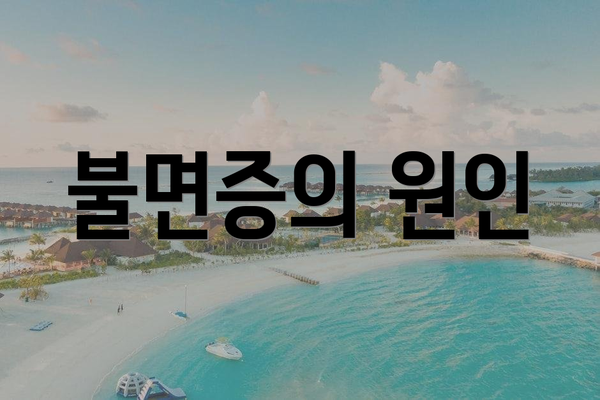 불면증의 원인