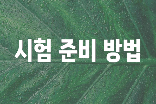 시험 준비 방법