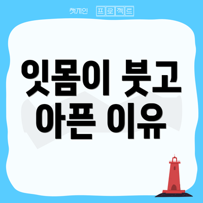 잇몸이 붓고 아픈 이유
