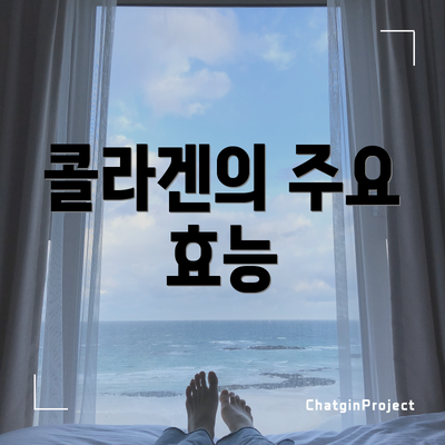 콜라겐의 주요 효능