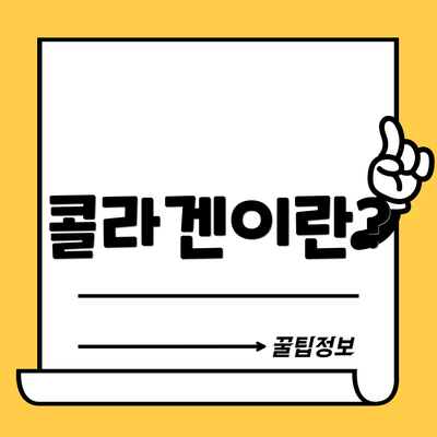 콜라겐이란?