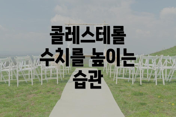 콜레스테롤 수치를 높이는 습관