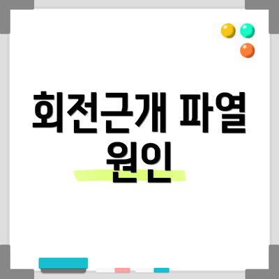 회전근개 파열 원인