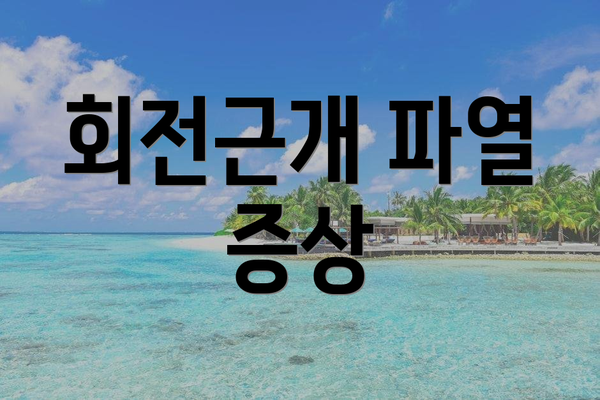 회전근개 파열 증상