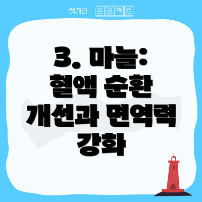 3. 마늘: 혈액 순환 개선과 면역력 강화