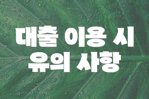 대출 이용 시 유의 사항