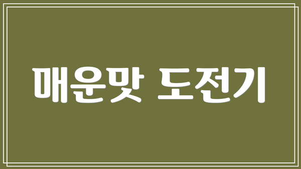 매운맛 도전기