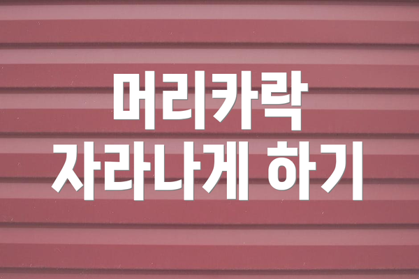 머리카락 자라나게 하기