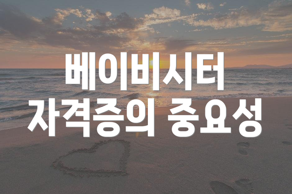 베이비시터 자격증의 중요성