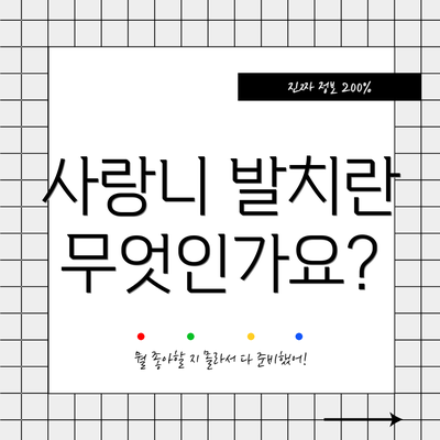사랑니 발치란 무엇인가요?