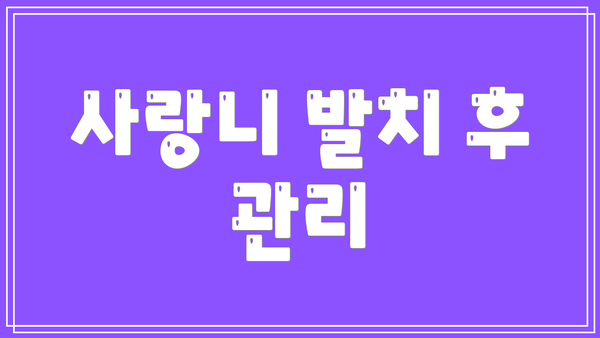 사랑니 발치 후 관리