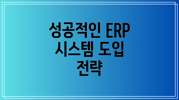 성공적인 ERP 시스템 도입 전략