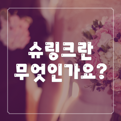 슈링크란 무엇인가요?