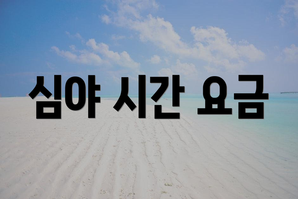 심야 시간 요금