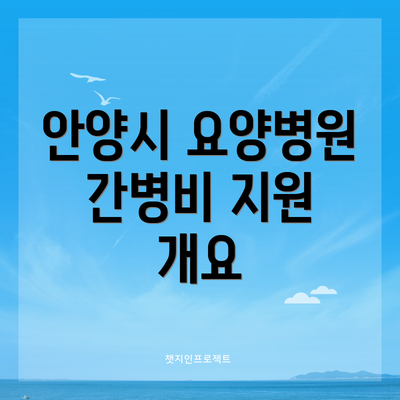 안양시 요양병원 간병비 지원 개요