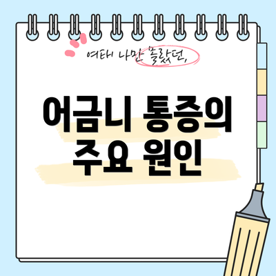어금니 통증의 주요 원인