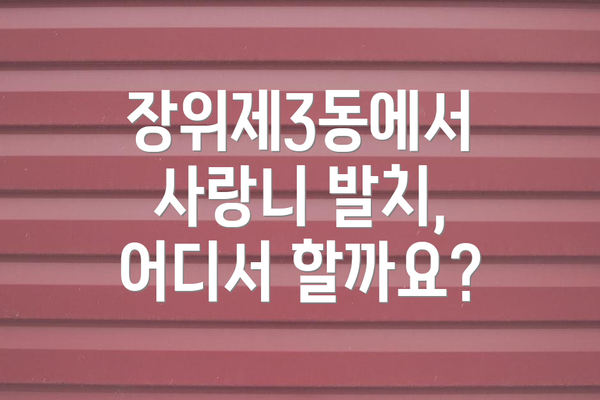 장위제3동에서 사랑니 발치, 어디서 할까요?