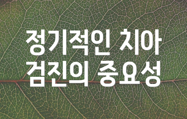 정기적인 치아 검진의 중요성