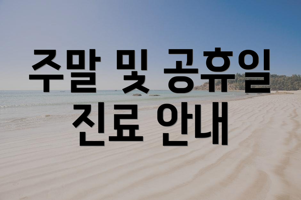주말 및 공휴일 진료 안내