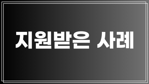 지원받은 사례