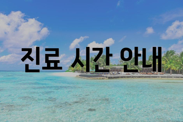진료 시간 안내