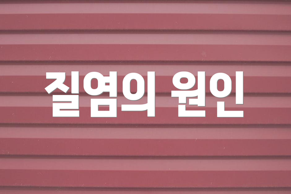 질염의 원인