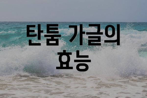 탄툼 가글의 효능