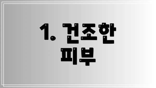 1. 건조한 피부