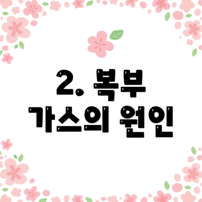 2. 복부 가스의 원인