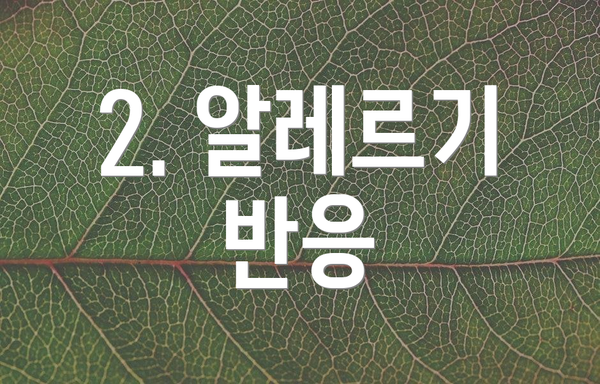 2. 알레르기 반응