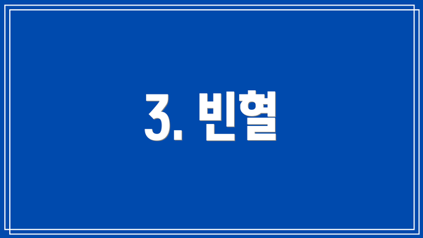 3. 빈혈