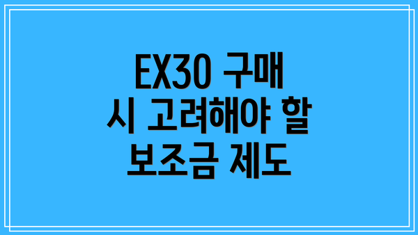 EX30 구매 시 고려해야 할 보조금 제도