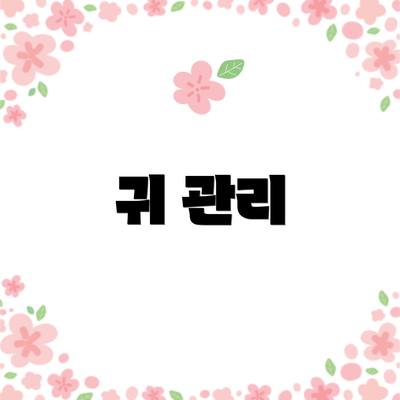 귀 관리