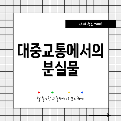 대중교통에서의 분실물