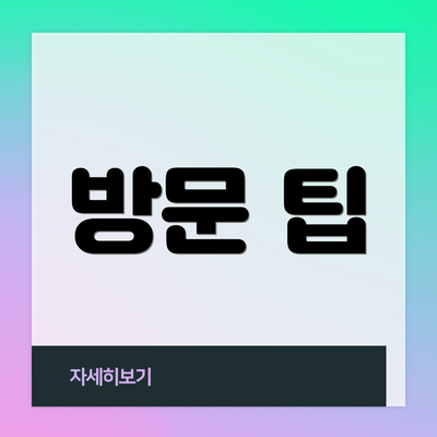 방문 팁