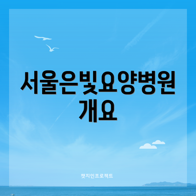 서울은빛요양병원 개요