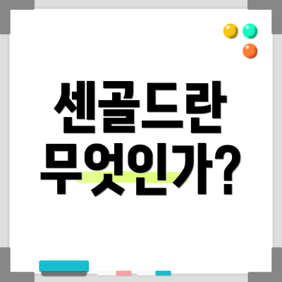 센골드란 무엇인가?