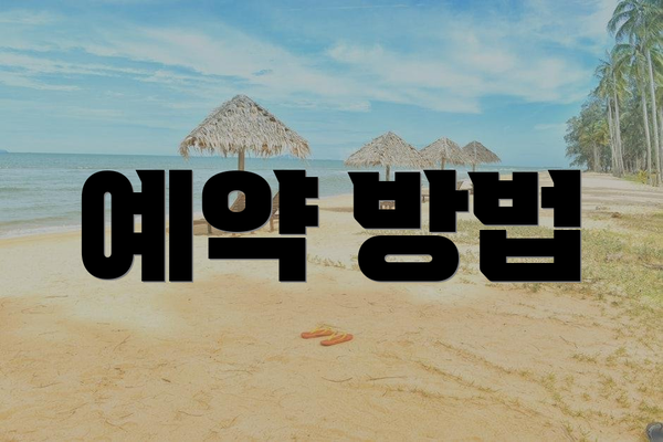 예약 방법
