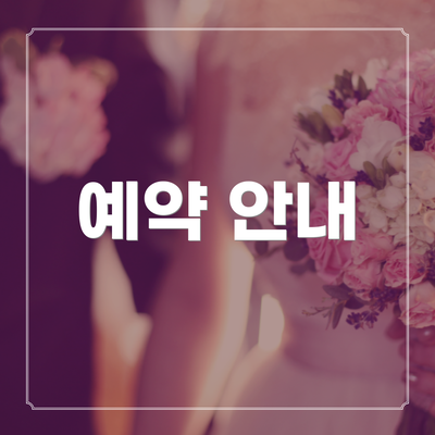 예약 안내