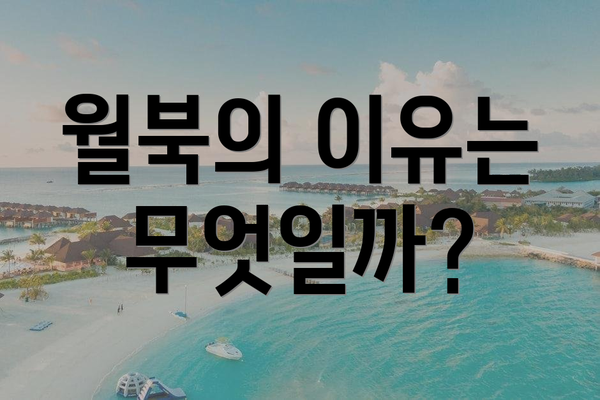 월북의 이유는 무엇일까?