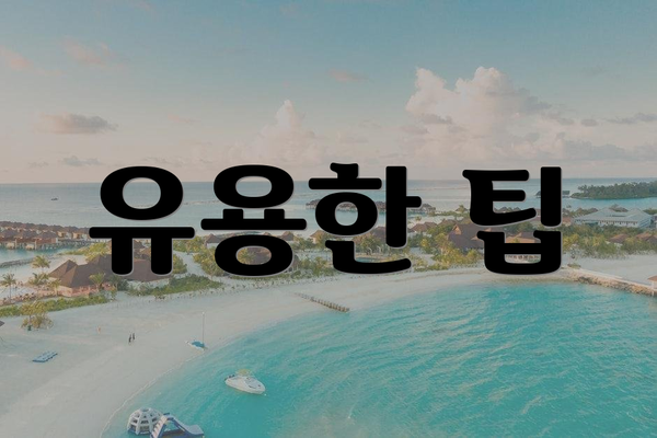 유용한 팁