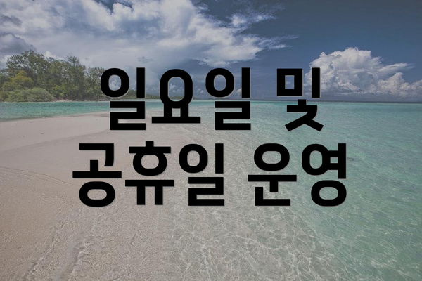 일요일 및 공휴일 운영