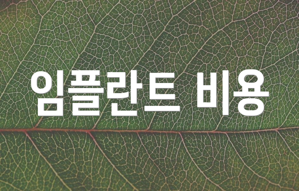 임플란트 비용