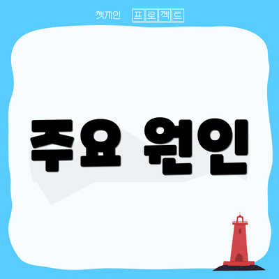 주요 원인