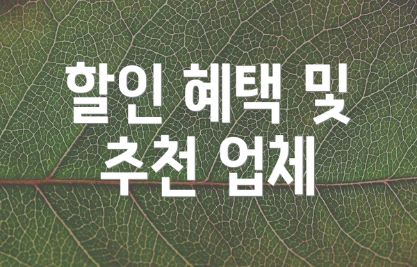 할인 혜택 및 추천 업체