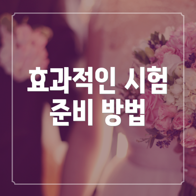 효과적인 시험 준비 방법