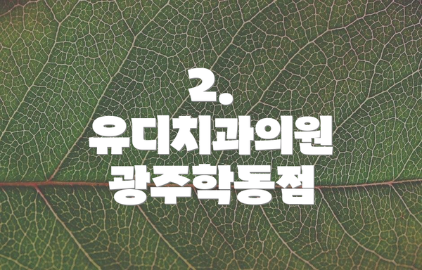2. 유디치과의원 광주학동점