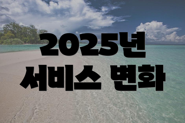 2025년 서비스 변화